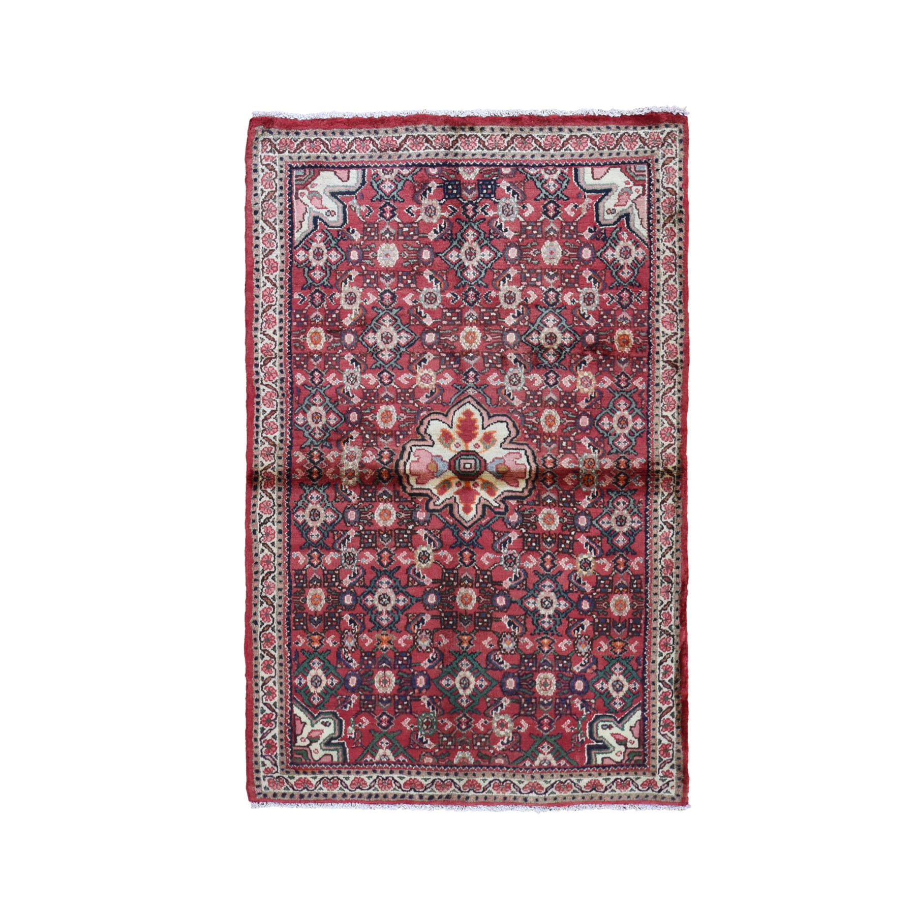 Traditional Wool Hand-Knotted Area Rug 3'4